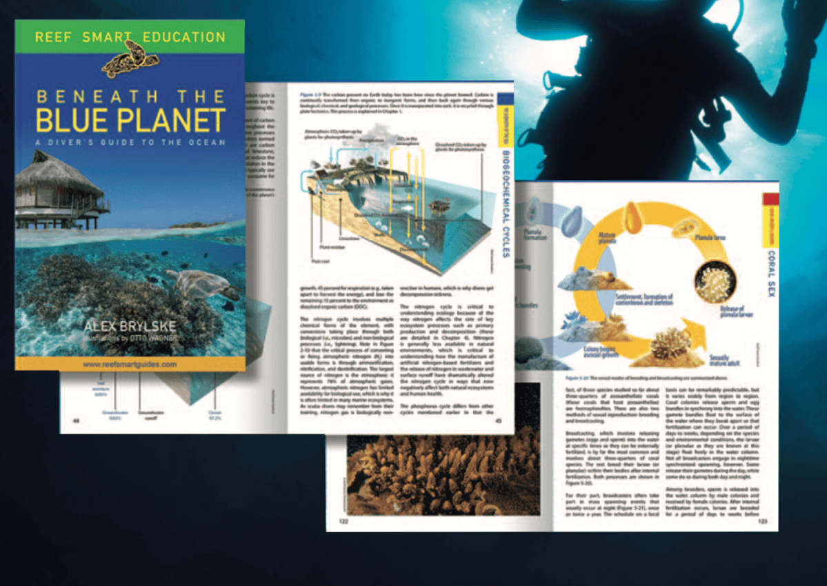 Scuba Diving Project Example Redefining Dive Tourism: Understanding the True Nature of Our Business ...