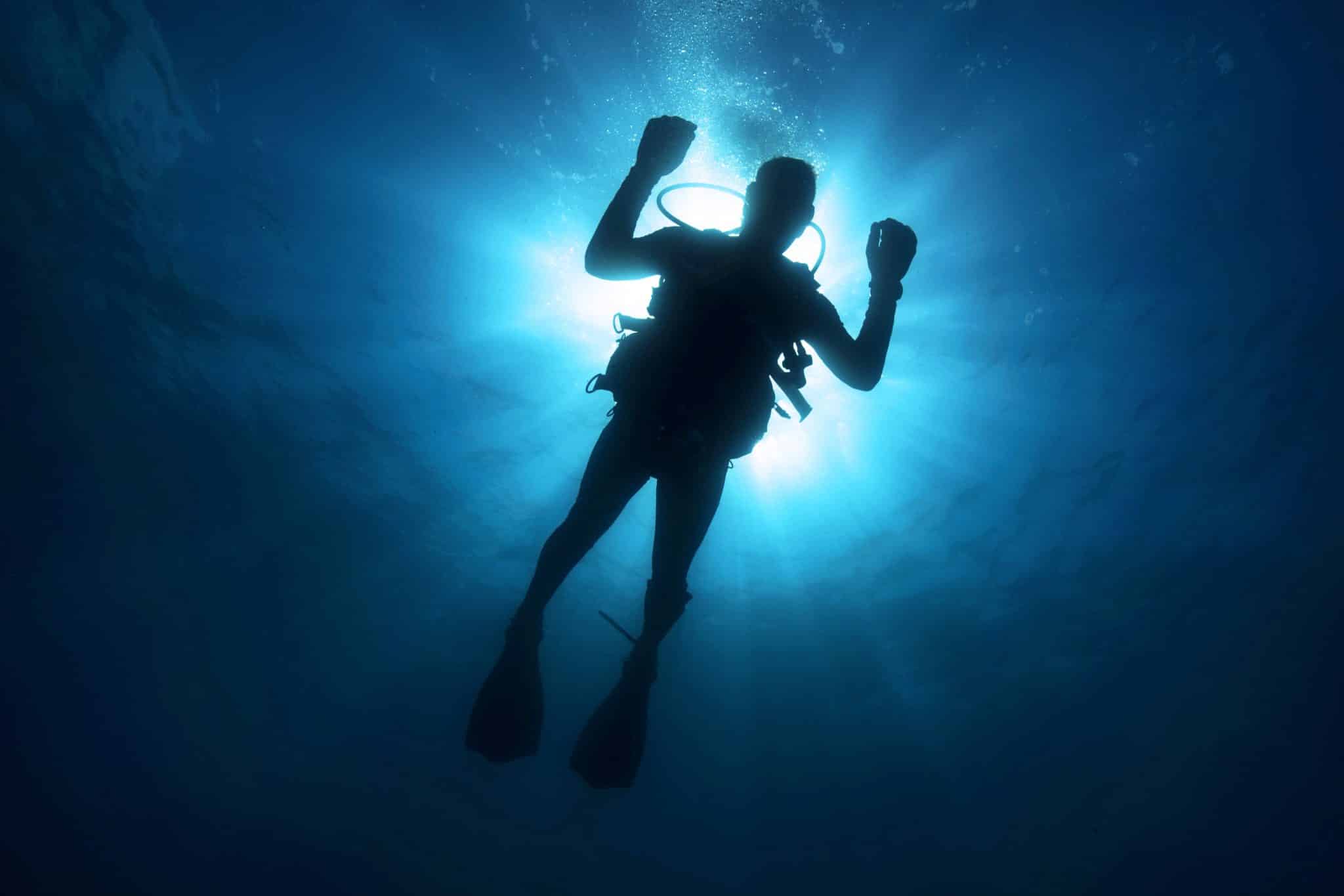 Come Together For The Ultimate Scuba Diving Event In Las Vegas – William Cline