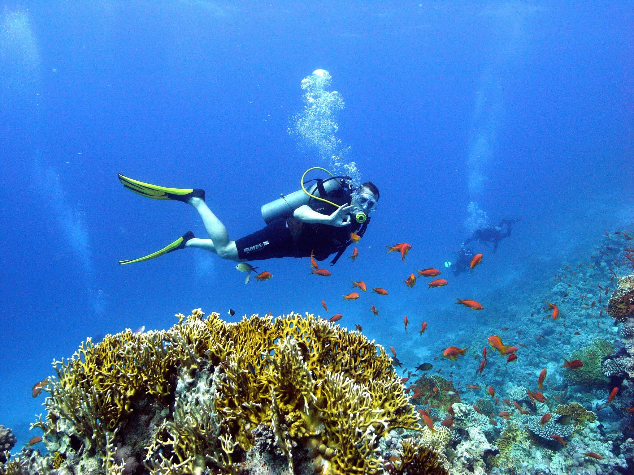 Preparing for the Upcoming DEMA Show: Tips and Insights – William Cline