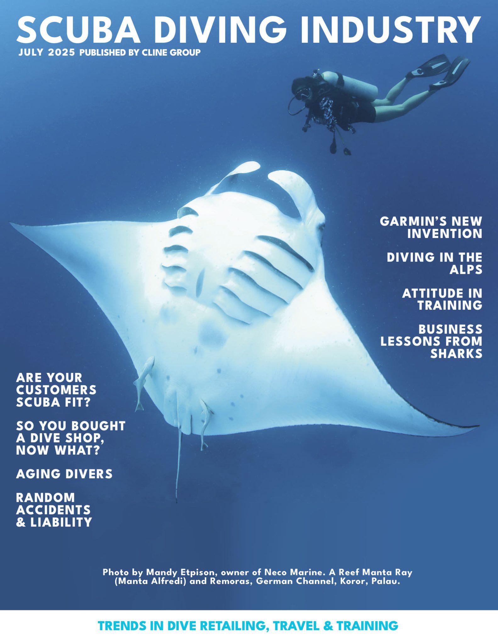 July 2025 cover of SDIM