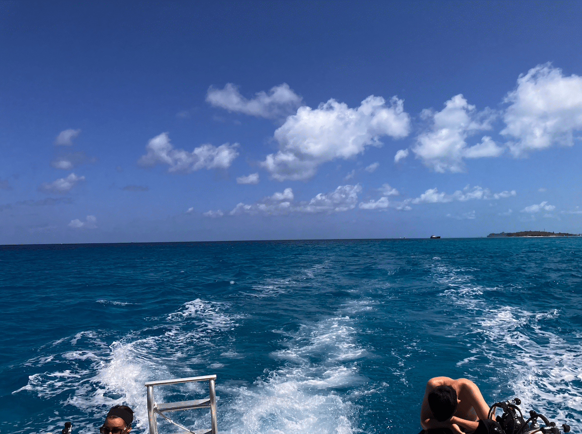 Dive Travel For Retailers: How Group Trips Boost Sales – William Cline