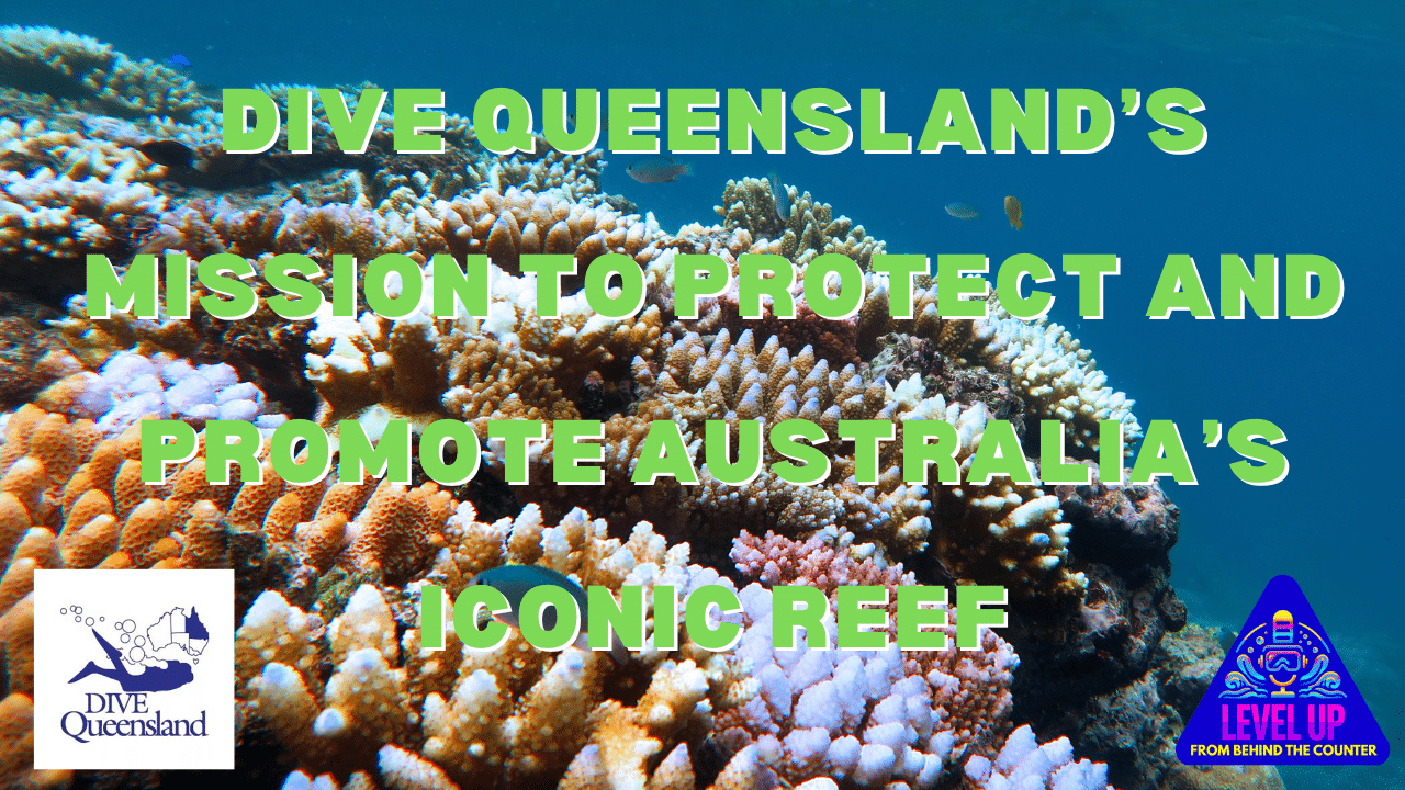 Dive Queensland’s Mission to Protect and Promote Australia’s Iconic Reef | Marketing Minutes