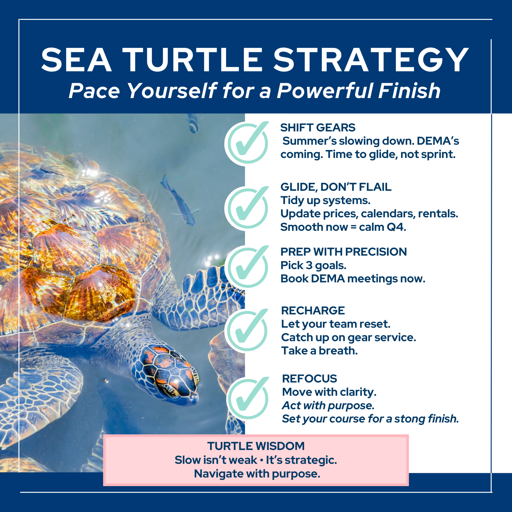Sea Turtle Strategy: Pace Yourself for a Powerful Finish – William Cline