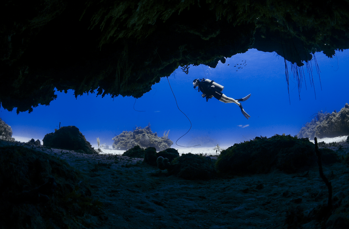 Cape Eleuthera Resort & Marina Crowned the Hottest Dive Resort in the Caribbean by Caribbean Journal