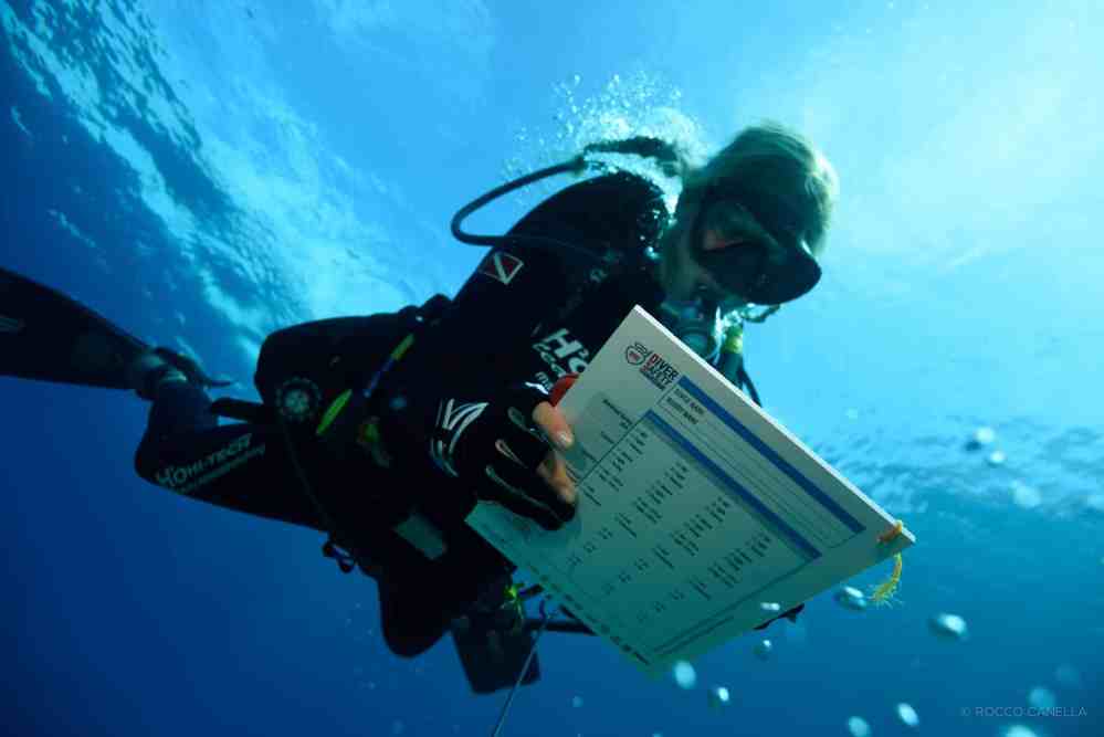 Bühlmann Decompression 02: Swiss Mechanical Dive Watch in Partnership with DAN Europe