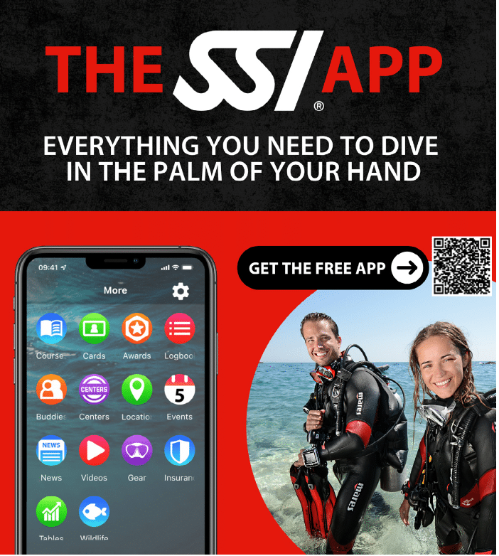 Get the SSI App