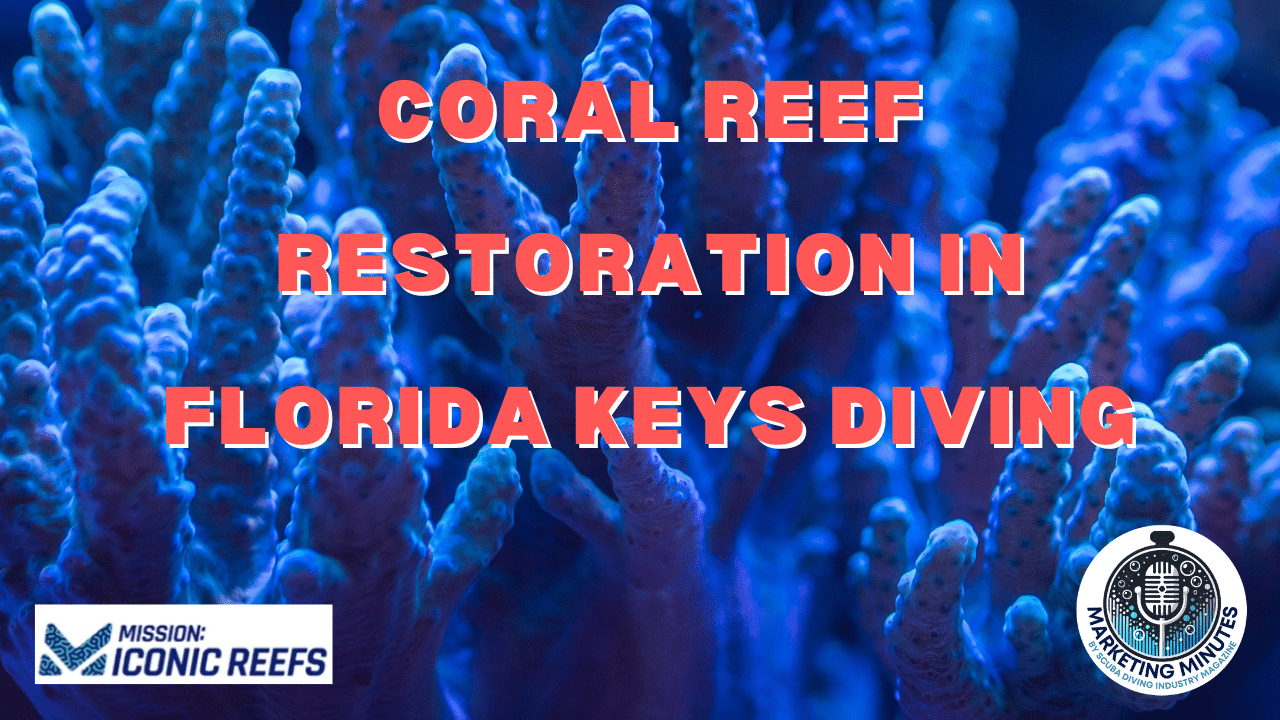 Coral Reef Restoration in Florida Keys Diving | Marketing Minutes