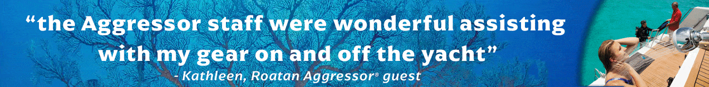 Aggressor Adventures