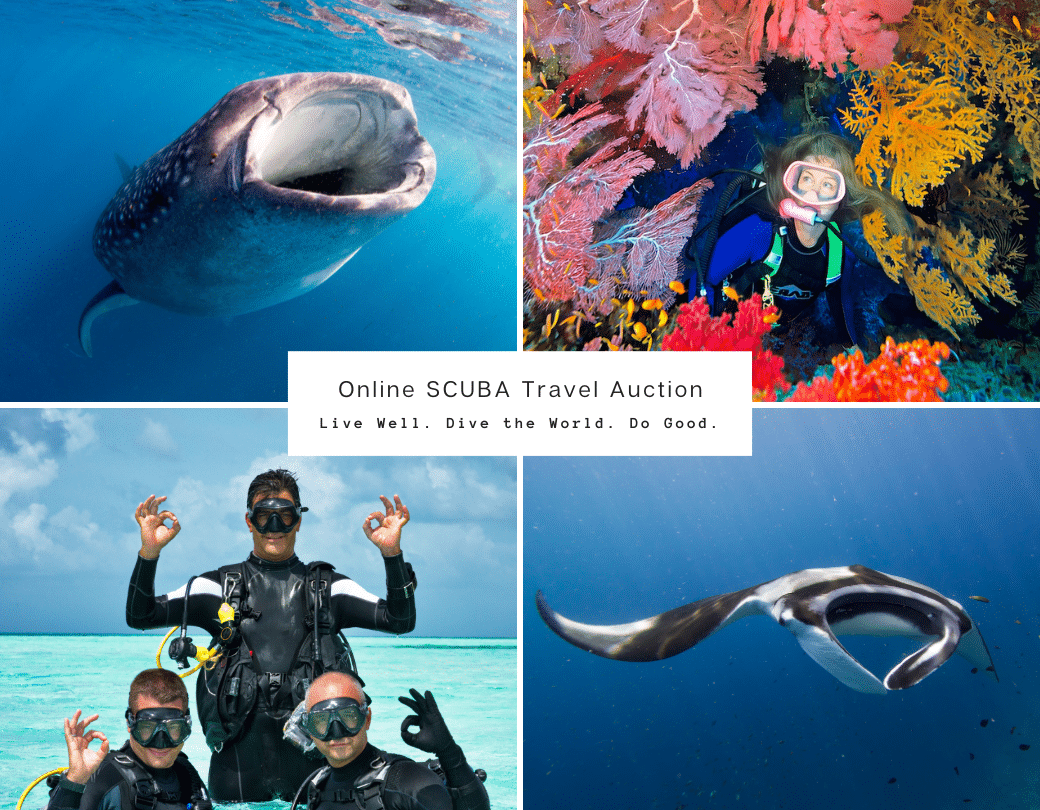 sea Save Auction
