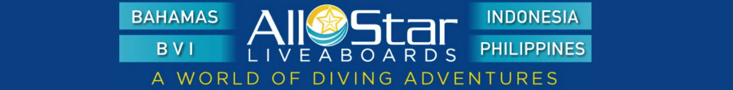 All Star Banner 728 x 90