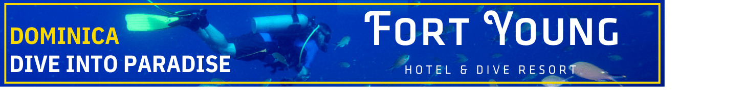 Fort-Young-Hotel-and-Dive-Resort