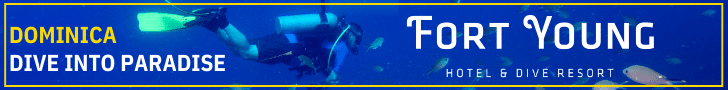 Fort-Young-Hotel-and-Dive-Resort