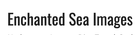 Enchanted Sea Images