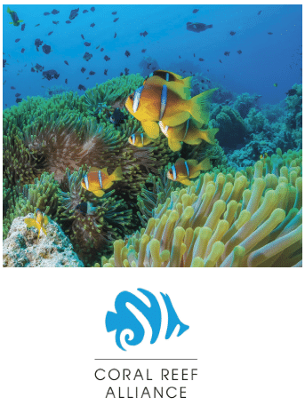 Part V: How to “Blue” Your Business and Make More Green - The CORAL Interview
by Gil Zeimer