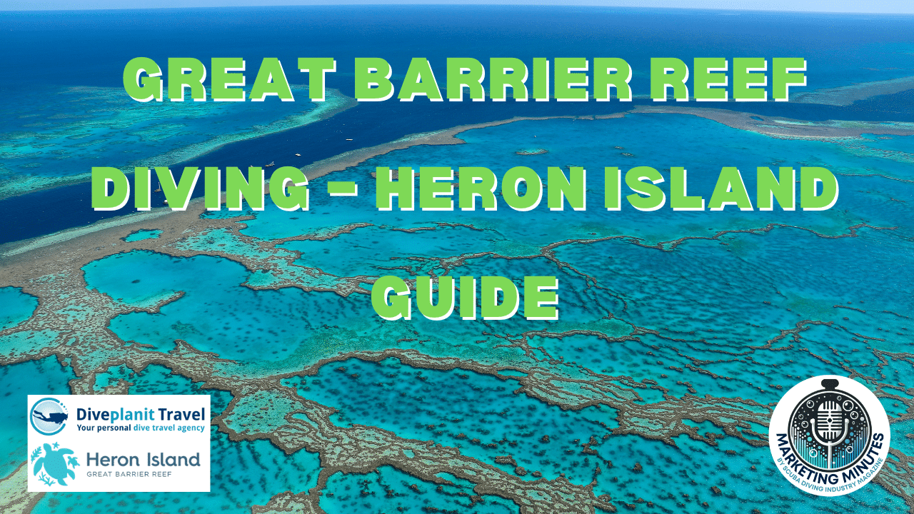 Great Barrier Reef Diving – Heron Island Guide | Marketing Minutes