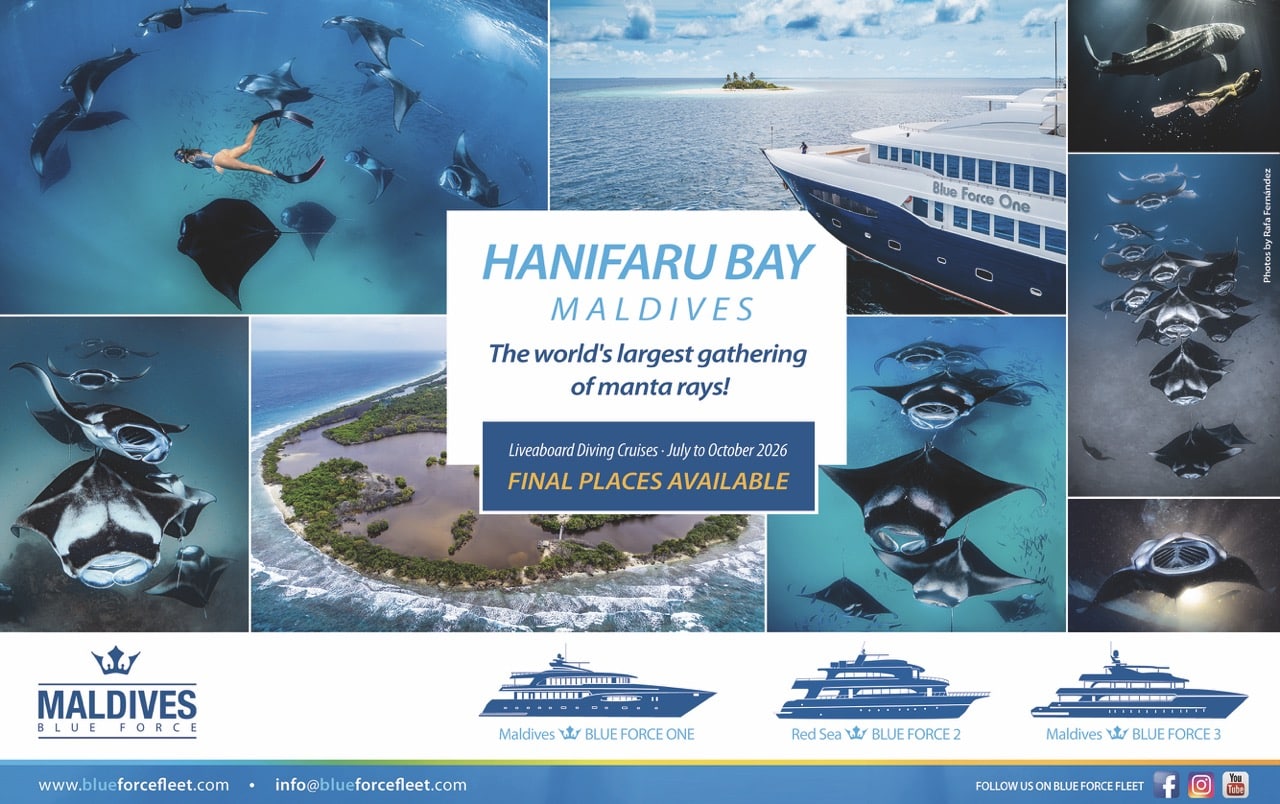 Blue Force Fleet