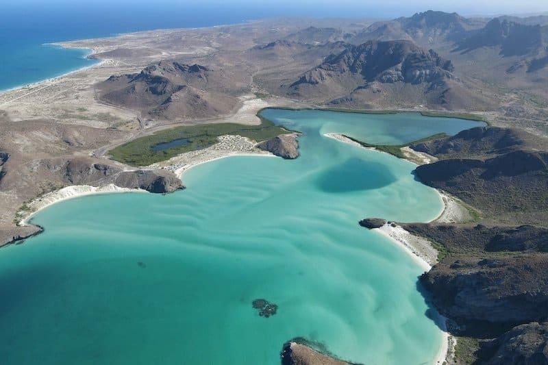 Snorkel, Dive, Explore: Shark Angels’ Conservation-Led Pelagic Baja Expedition