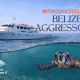 Aggressor Adventures® Announces Belize Aggressor V