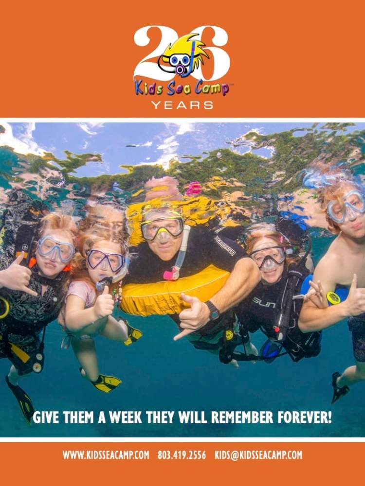 Family Divers & Kids Sea Camps