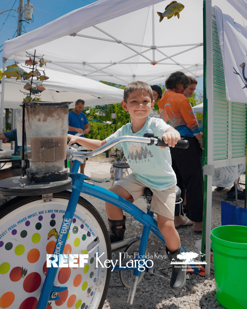 Reef Environmental Education Foundation Hosts 17th Annual Florida Keys Lionfish Derby & Arts Festival