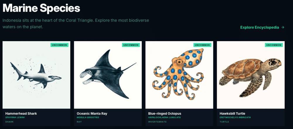 InDive.io Launches as Indonesia's First Comprehensive Dive Directory