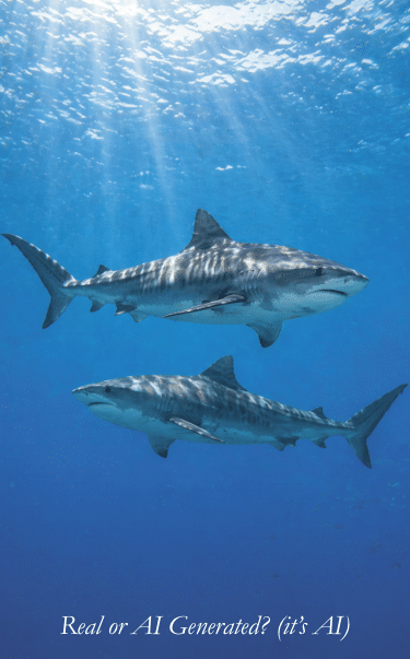 Balancing AI Photography and Conservation in Diving by Alex Brylske, Ph.D.