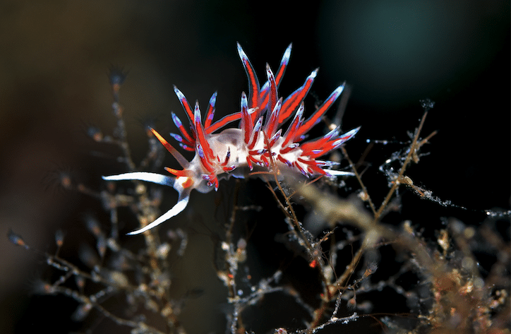 A Group Travel Guide to Europe’s Malta by Christopher P. Weaver & Michael Salvarezza