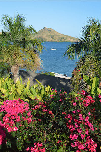 A Group Dive Guide to Fiji by David Prichard & Lily Mak