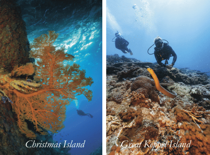 Australia’s Best Islands for Group Dive Travel by Deborah Dickson-Smith