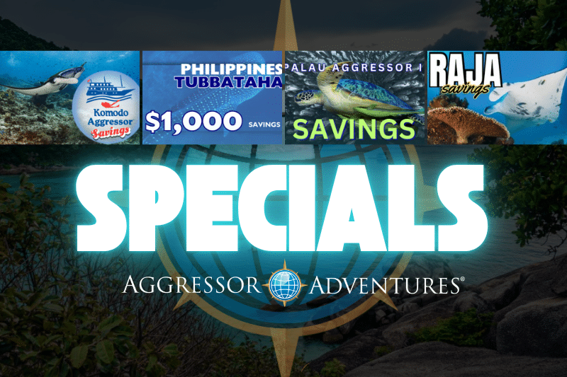 Aggressor Adventures® Highlights Current Limited-Time Travel Specials