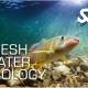 ssi freshwater ecology