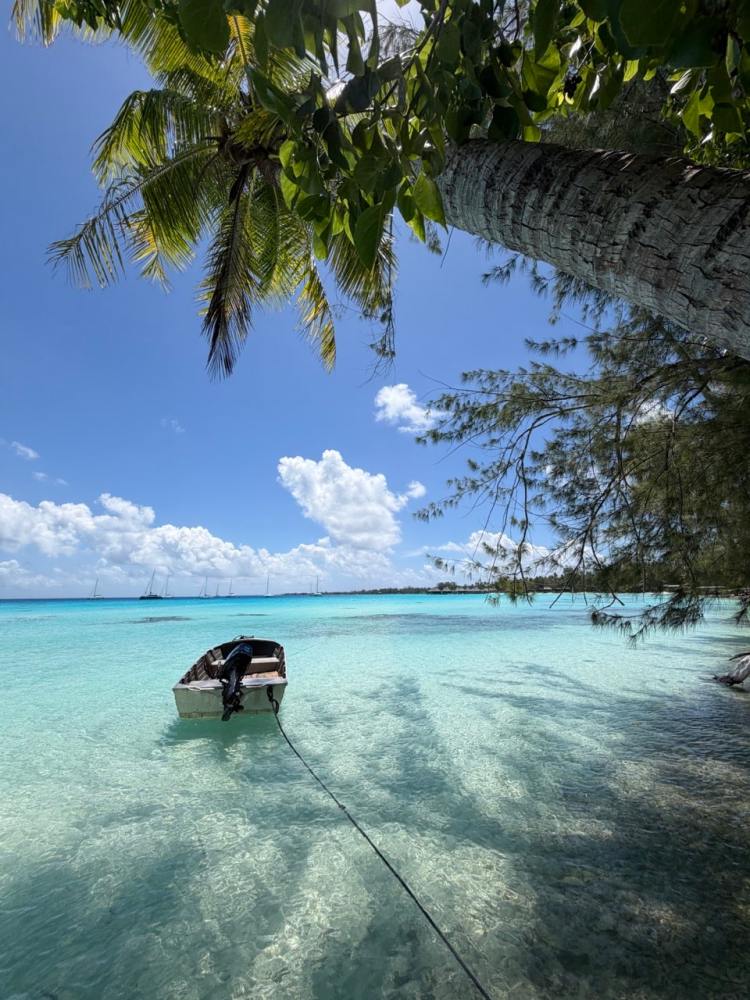 Rangiroa: The Pacific Drift
Destination Dive Sellers Should Know
by Tara Artner