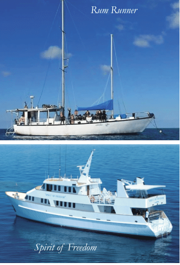 Pt. 1: A Dive Guide to Northern Queensland Expedition Liveaboards by Terry Cummins