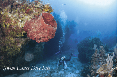 The Bahamas, Repackaged for Today’s Dive Traveler by Richard Condlyffe