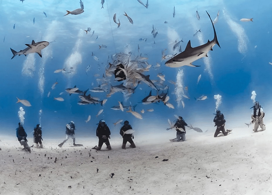 Cape Eleuthera Resort: A Land-Based Anchor for Bahamas Group Travel by Brittany Brown