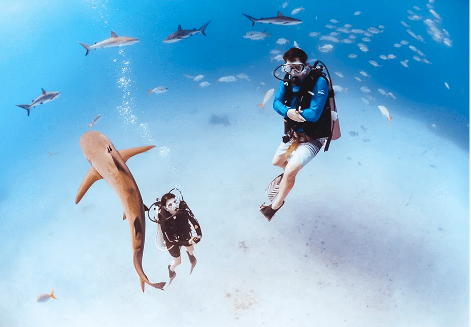 Cape Eleuthera Resort: A Land-Based  Anchor for Bahamas Group Travel by Brittany Brown