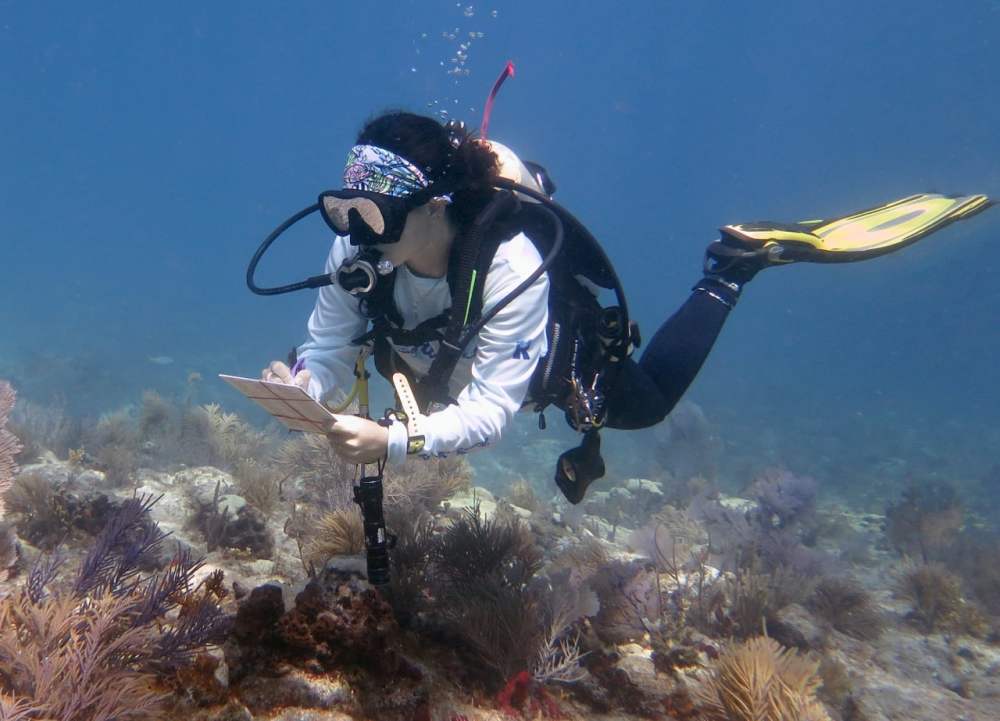 How Citizen Science Can Set Your Dive Shop Apart by Tom Sparke