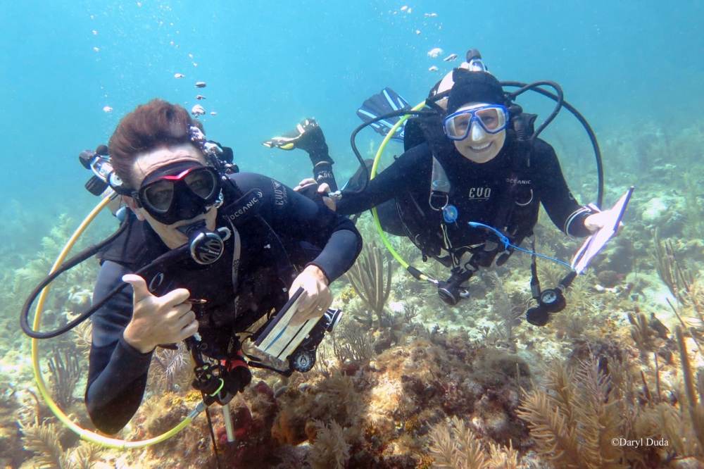 How Citizen Science Can Set Your Dive Shop Apart by Tom Sparke