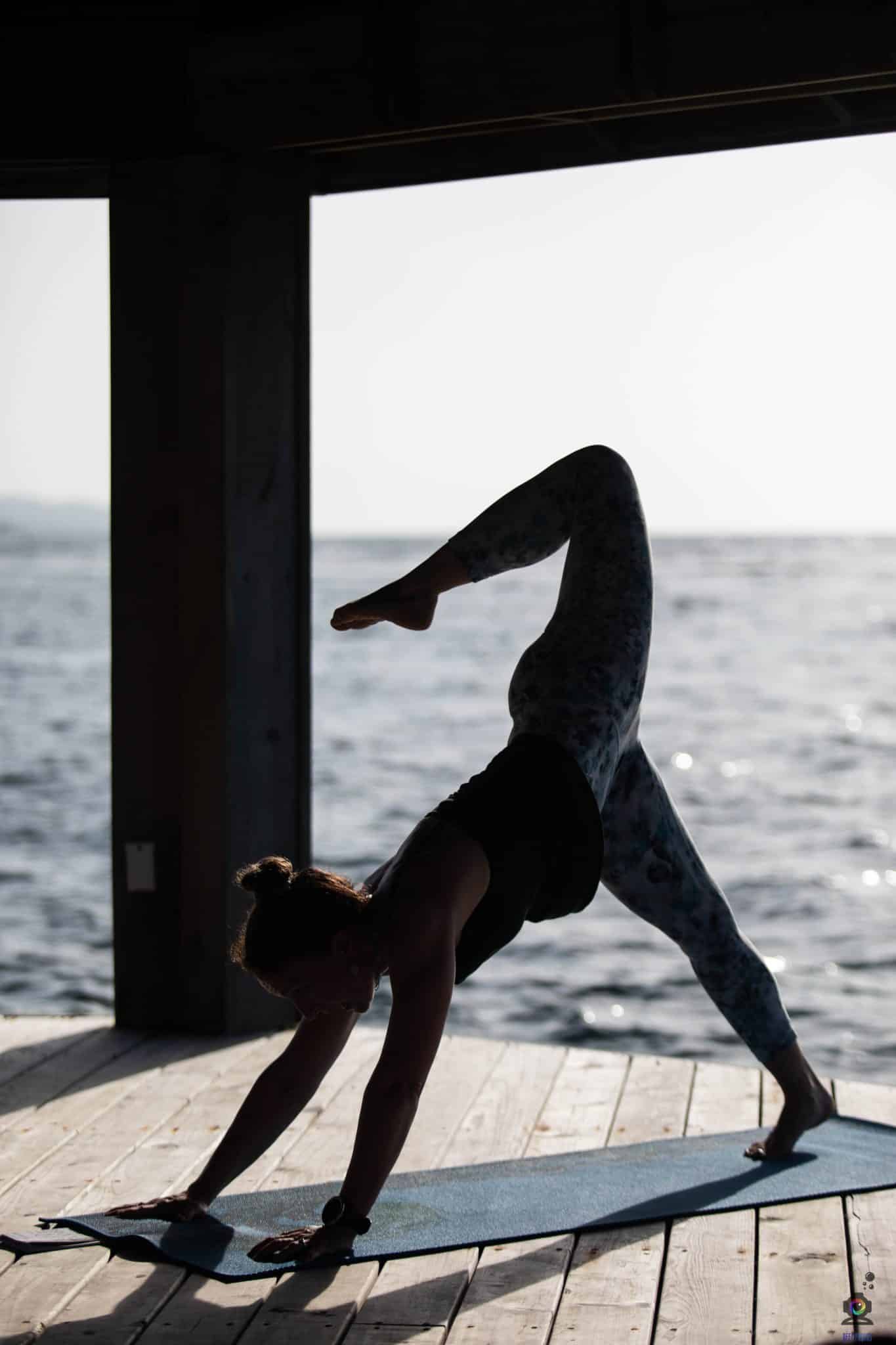 The Rise of the Wellness Diver: A Changing Audience by Meredith Calvert, Ph.D.