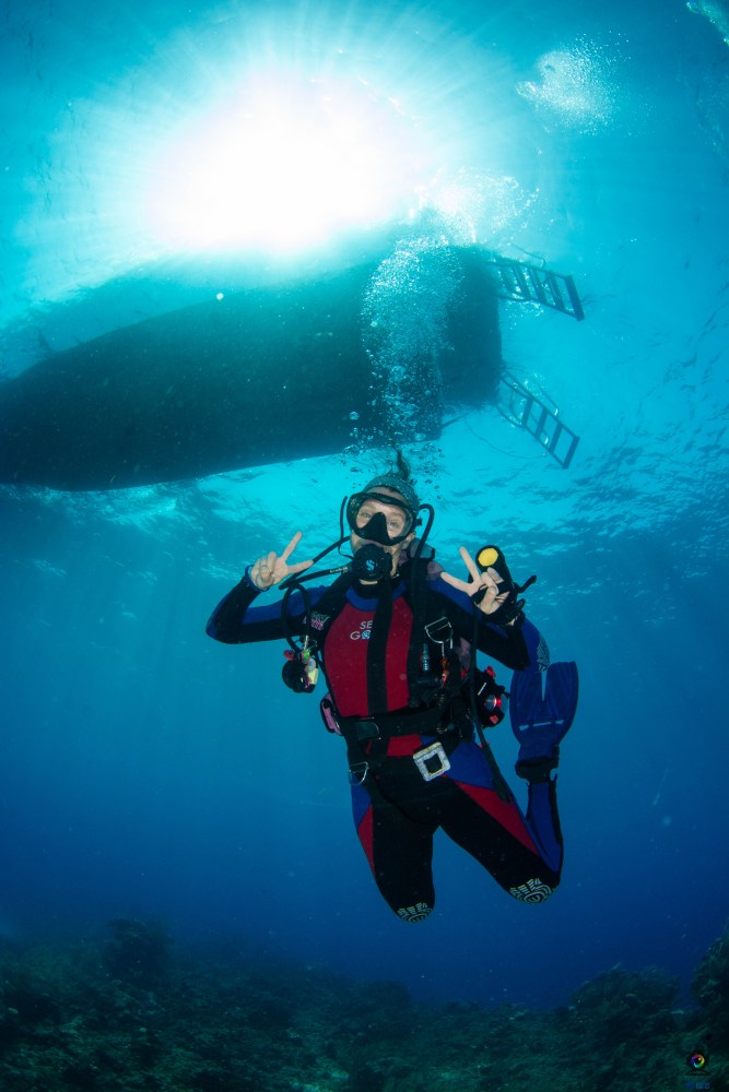 The Rise of the Wellness Diver: A Changing Audience by Meredith Calvert, Ph.D.