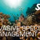 SSI Invasive Species Management Specialty