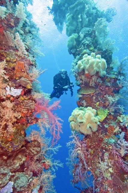 One Destination, Two Dive Worlds: Chuuk/Truk Lagoon by David Prichard & Lily Mak