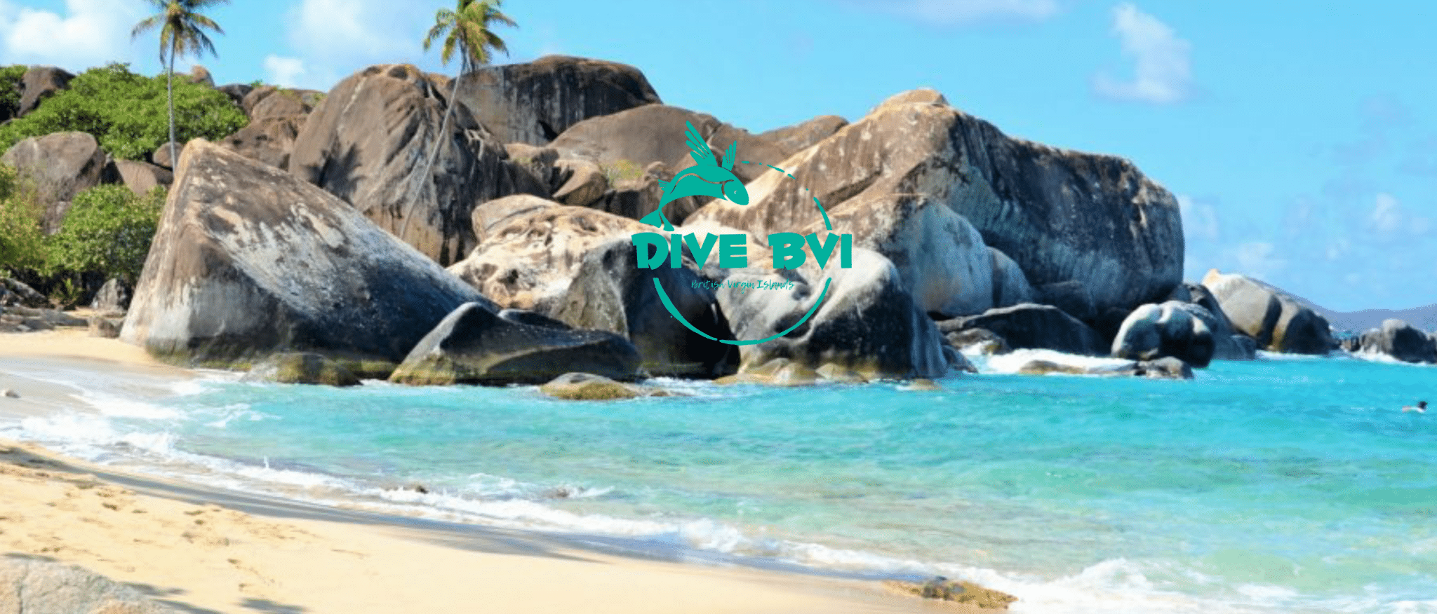 DIve BVI