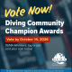 DEMA Community Champion Award Voting