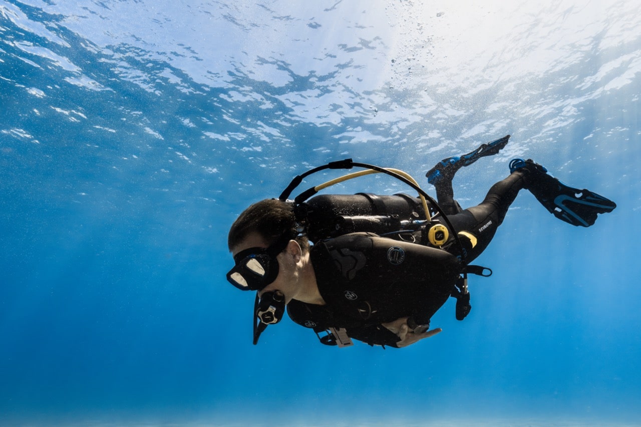 Three Questions that can Strengthen Any Dive Business by Lee Rand