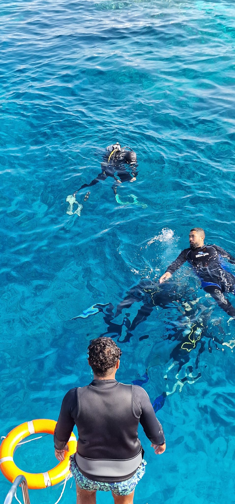 A Sports Approach to Diver Safety by Al Hornsby