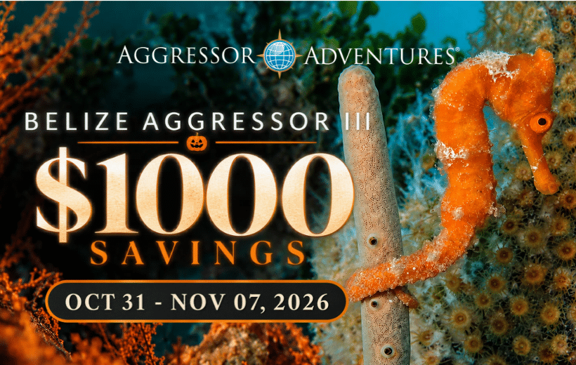 Aggressor Adventures® Announces Last-Minute $1,000 Savings on Belize Aggressor III®