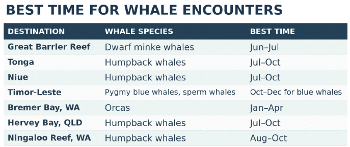 The 7 Best Whale Encounters in the South Pacific by Deborah Dickson-Smith